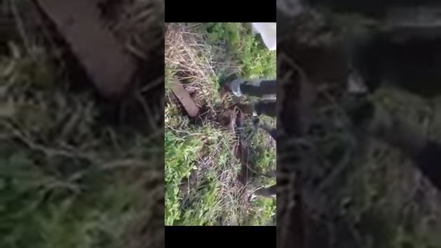 Коп старая пила для резки Льна! смотреть онлайн