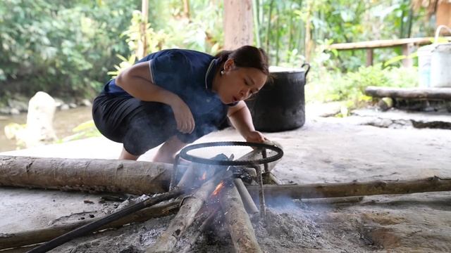 Harvest Ripe Papaya Goes To Market Sell - Cook Papaya For Pigs - Lunch With Ly Phuc An