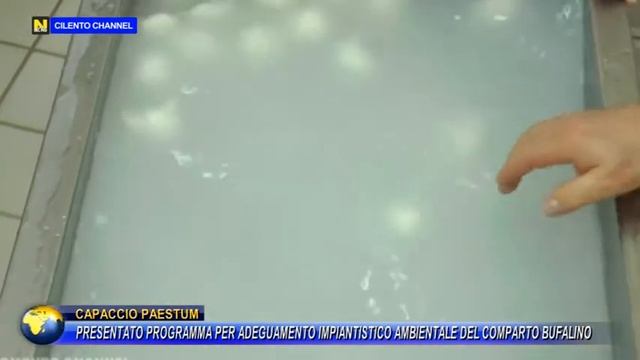 CAPACCIO PAESTUM, PRESENTATO PROGRAMMA ADEGUAMENTO IMPIANTISTICO COMPARTO BUFALINO. смотреть онлайн