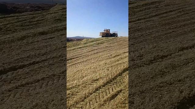 Заготовка кормов 2 биосил смотреть онлайн