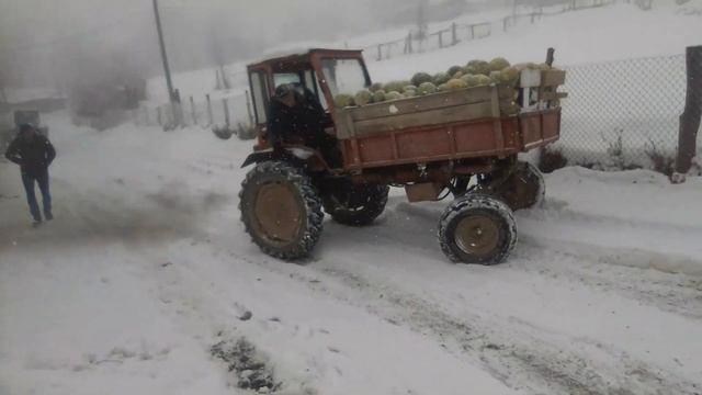 Трактор Т 16М и Трактор Т 40 АМ в падъеме с капустой по снегу l Offroad смотреть онлайн