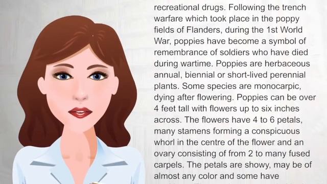 Poppy - WikiVideos смотреть онлайн