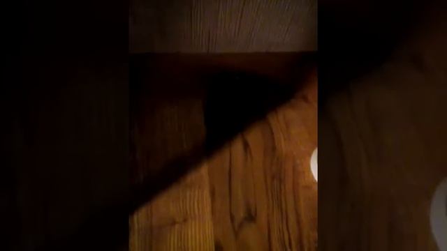 Шок даша обкакалась прикол смотреть онлайн