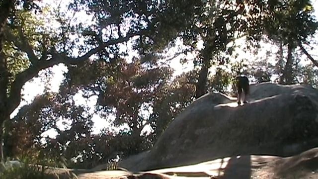 Naz Jumper.avi смотреть онлайн