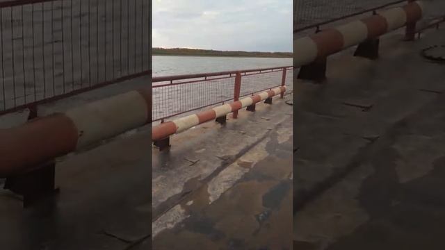 Паром Каргасок- Стрежевой 02.10.2019 смотреть онлайн