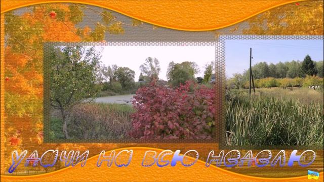 удачи на всю неделю смотреть онлайн