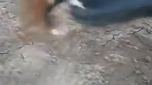 evil1 смотреть онлайн