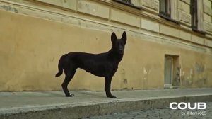 А я подбухну и забуду о тебе!