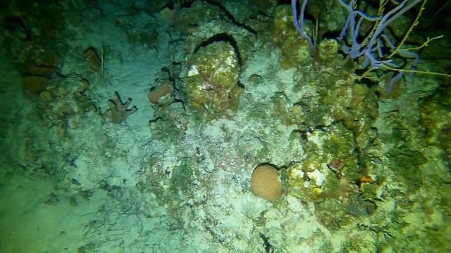 Full dive (2nd of 2) at Jake's Hole, Eleuthera, Bahamas, on 13 Apr 2021 with the Bahamas Aggressor смотреть онлайн