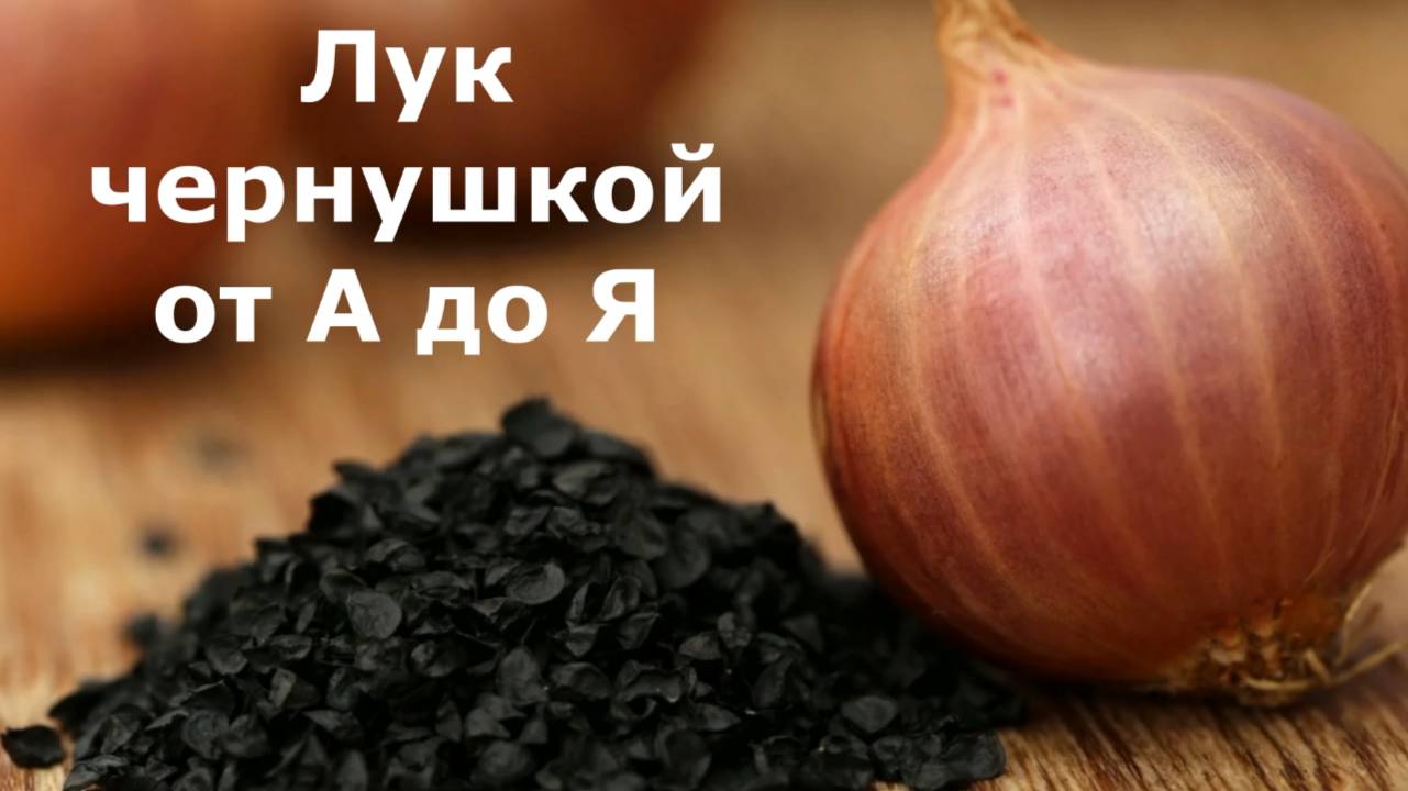 Лук чернушкой от А до Я. Обработка и замачивание семян. Сорта. Посадка чернушкой. Выращивание смотреть онлайн