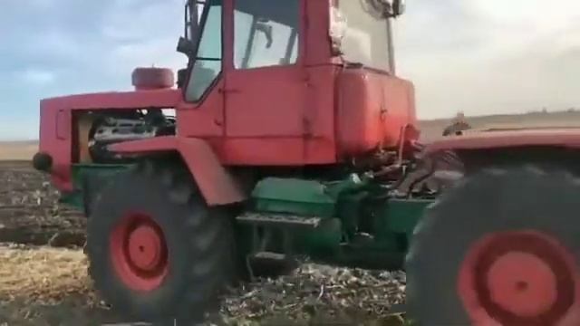 ЯМЗ-238 решает! Кто согласен? Больше видео про трактор, на канале. Подпишись! #shorts смотреть онлайн