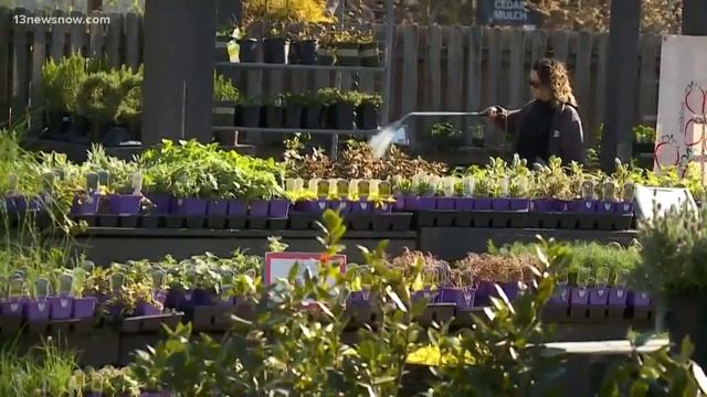 McDonald Garden Center delivering flowers, vegetables to plant lovers stuck at home смотреть онлайн