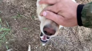 Таёжные отшельники Тимофей и Женя (30 лет одиночества 32 серия)