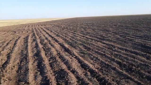 К-700. Культивация паров. смотреть онлайн