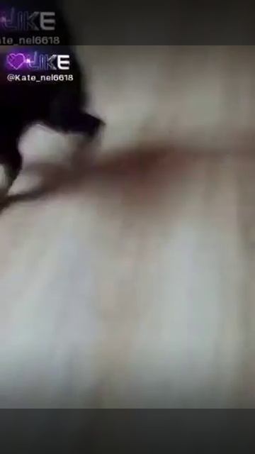 Крокодил смотреть онлайн