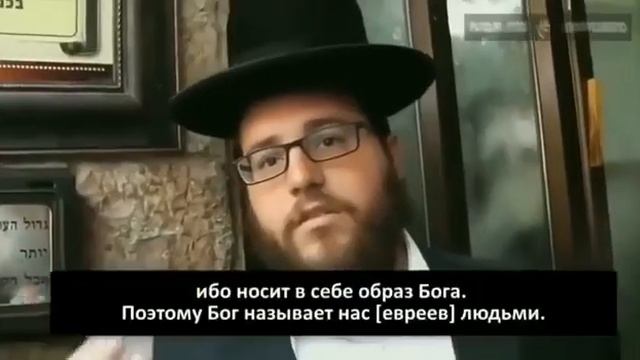 Иудеи о гоях (не иудеях).mp4