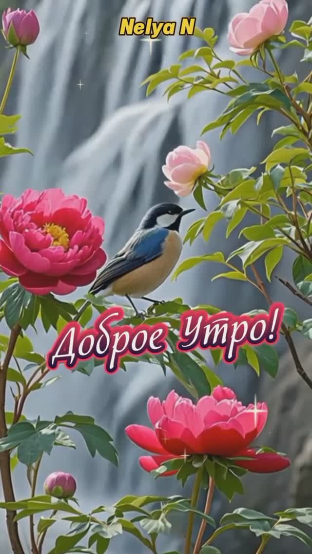 Доброе утро. Добрый вечер. ВидеоОткрытки на каждый день смотреть онлайн