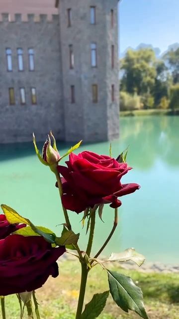 📍Замок Шато Эркен,Кабардино-Балкария смотреть онлайн