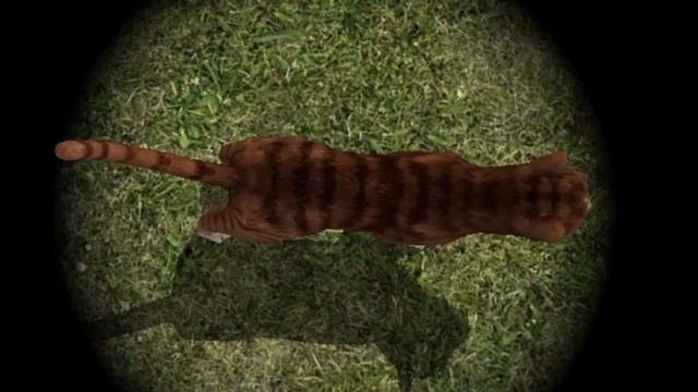 Моя новая ос и перс :з смотреть онлайн