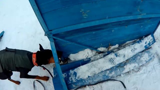 ПТП. Обозначение. смотреть онлайн