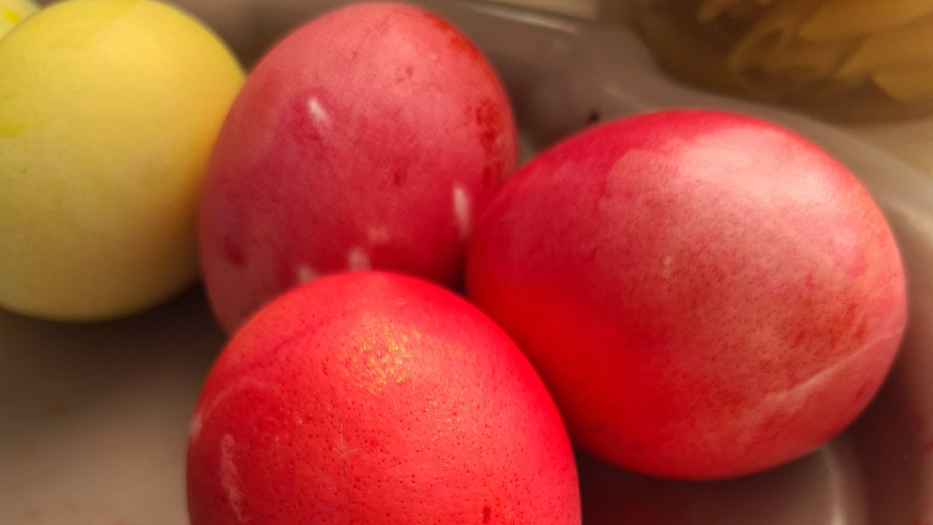 Красим яйца в месте с детьми на Пасху