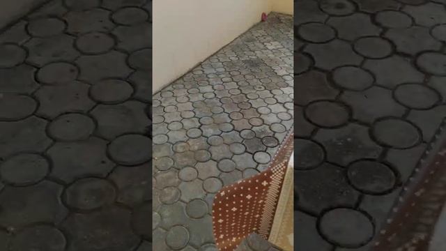 не смотри это видео с Pop It 2-ой ролик на море