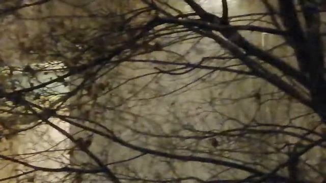 Метель ночью. Смотрим с Романом на метель. смотреть онлайн