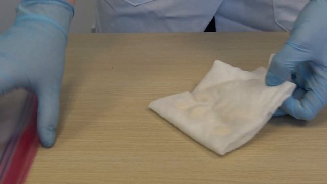 Set Up for the Bean Seeds Investigation - Unit 7.4 Matter Cycling & Photosynthesis Lesson 11 смотреть онлайн