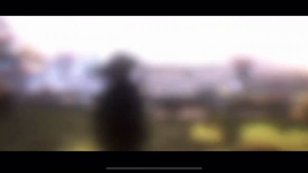 Identity V - Ashes of Memory Episode 2 Playthrough (Main Story Update)