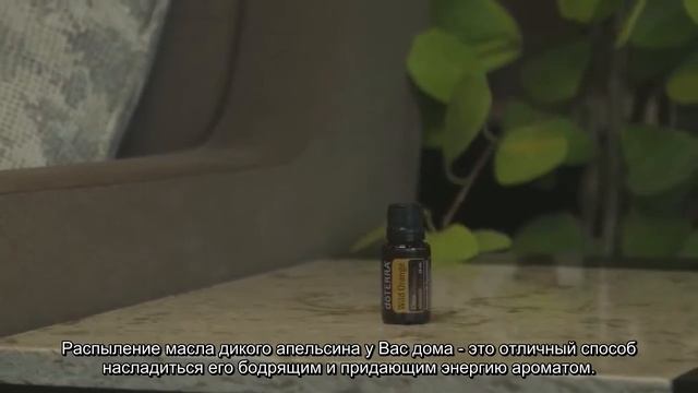 Оживите ваше настроение смотреть онлайн