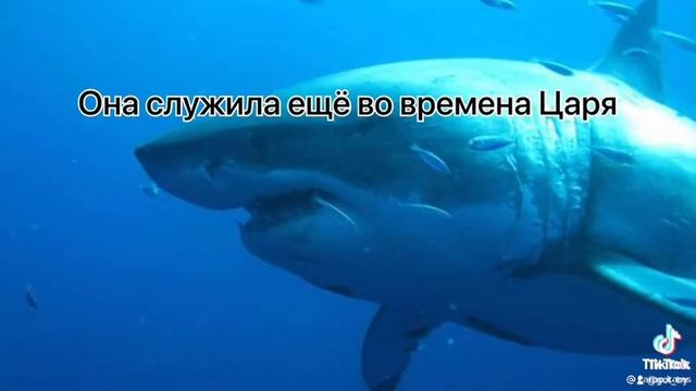 хахахахах тетя зина смотреть онлайн