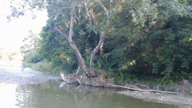 СЕЛО ДИВНОМОРСКОЕ🔆 РЕКА МЕЗЫБЬ 🤲#дивноморское #дивноморск #черноеморе