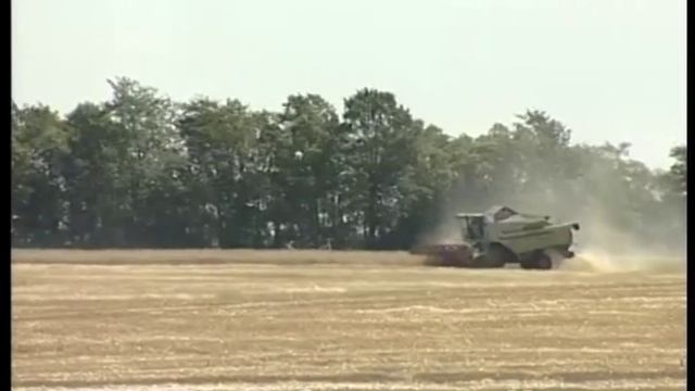 Каким будет урожай 2016? Репортаж с полей Тукаевского района смотреть онлайн