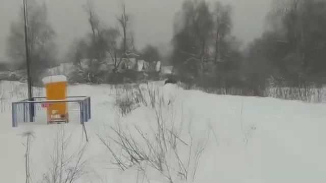 В Тверской области лежачего больного везли к скорой в ковше трактора. смотреть онлайн
