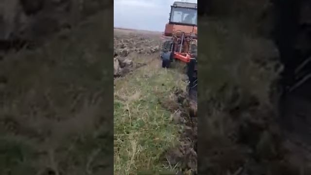 Плантажный плуг готовит почву под посадки виноградников. ППН-50 производство ООО НПО ЛЕСПРОМРЕСУРС смотреть онлайн