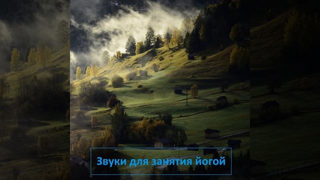 Чисто безмятежный лес смотреть онлайн