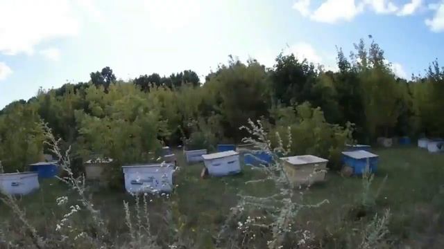 Викрадення пасік у людей службою безпеки ТАС АГРО. Частина 2. смотреть онлайн