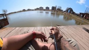 Форель на блесны