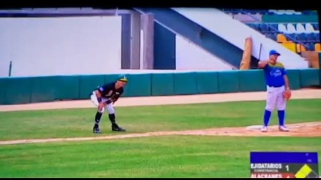 Vander Pro Birch Platinum Label