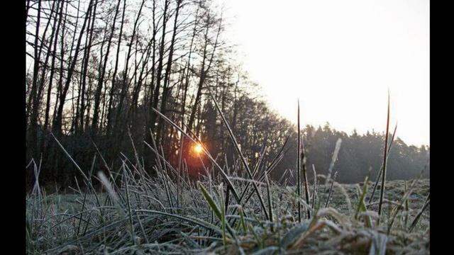 ОТВЕТ НА ЯСНОВИДЕНИЕ ОТ РОЗАЛИИ. Инга Хосроева, Ведьмина изба. смотреть онлайн