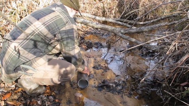 Modern Trapping Series Part 36 Tube Traps for Mink смотреть онлайн