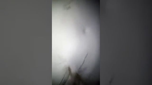 нашол логово сектантов что я там увидел!!!! смотреть онлайн