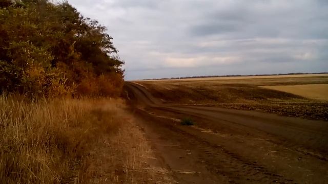 Трактор Бюлер 2375 дискование дискатором лемкен смотреть онлайн
