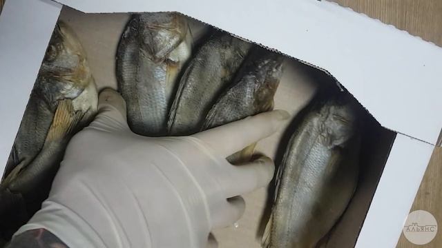 Окунь речной вяленый