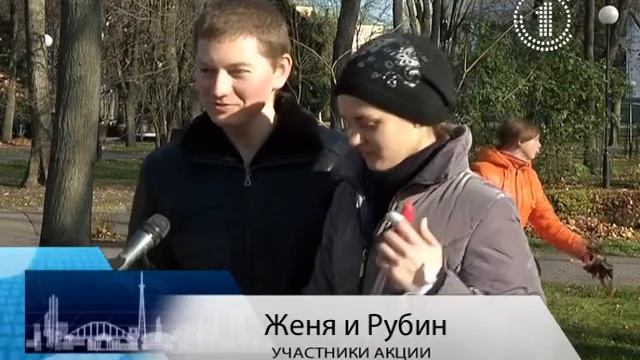 Из-за недостатка кадров к уборке листьев привлекли студентов и школьников смотреть онлайн