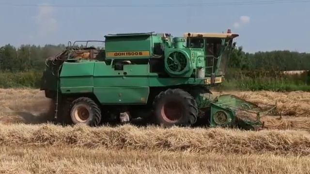 “Татарстан” хуҗалыгында уртача уңыш  70 центнерны тәшкил итә.
