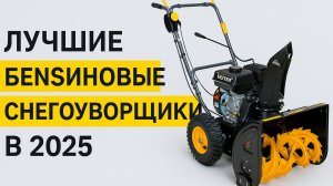 ТОП-5 снегоуборщиков от 30 000. Какой снегоуборщик выбрать?