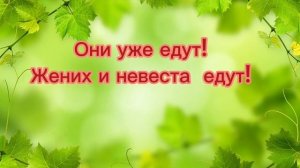 Разница между глаголами идти-ходить; ехать-ездить.Предлогив и на.