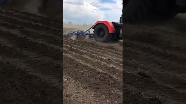 Работа плуга ПСКу-9 с катками, видео от Виталия ТД "Алтайсельмаш смотреть онлайн