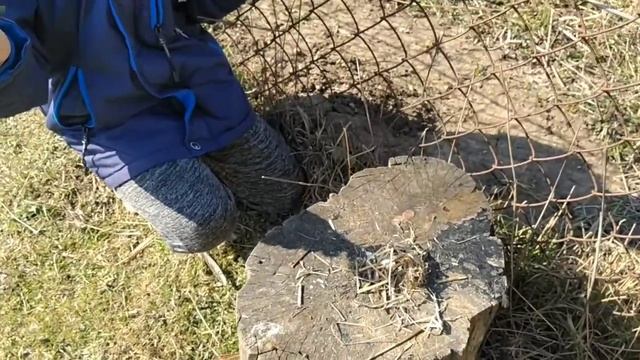 Пропалили штани лупов смотреть онлайн